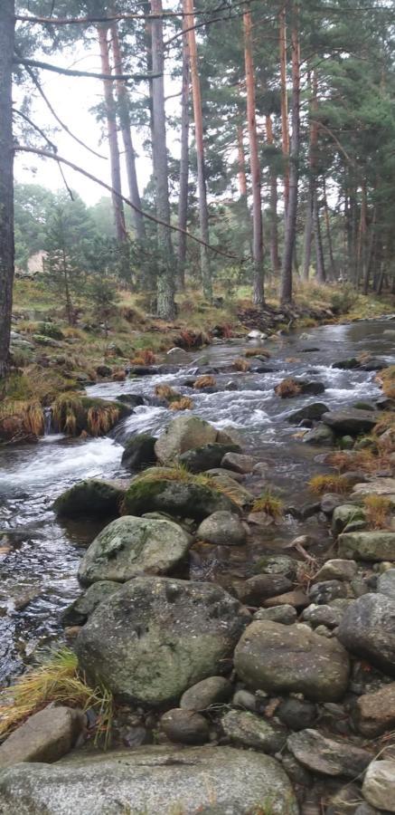 Casa Rural Los 7 Pinos De Gredos Наварредонда-де-Гредос Экстерьер фото